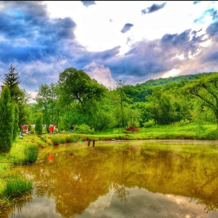 Pensiunea Cerbul - Valea Dobarlaului ภายนอก รูปภาพ