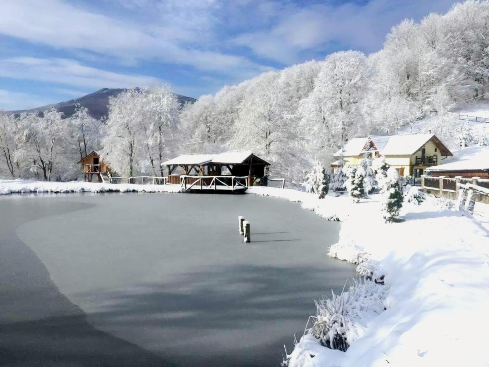 Pensiunea Cerbul - Valea Dobarlaului ภายนอก รูปภาพ