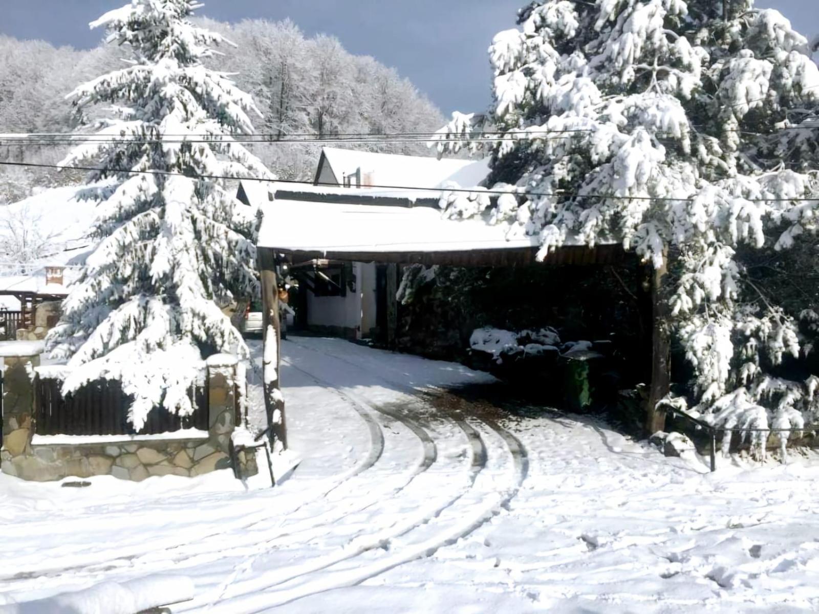 Pensiunea Cerbul - Valea Dobarlaului ภายนอก รูปภาพ
